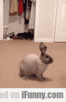200.gif