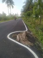1734156189194.webp
