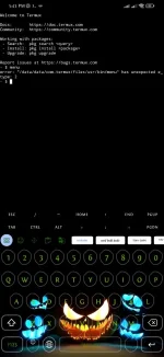 Screenshot_2024-12-14-17-43-13-576_com.termux.webp