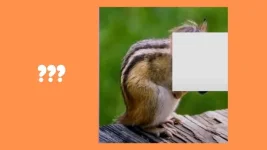 Guess-the-hybrid-animal-part-2-pptx-10-638.webp