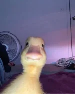 1000024203.jpg