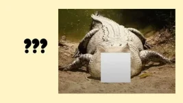 Guess-the-hybrid-animal-part-2-pptx-16-638.webp Guess-the-hybrid-animal-part-2-pptx-16-638.webp