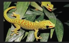 1734190381248.webp