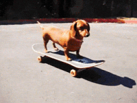 200.gif
