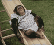 200.gif