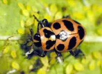 Untitled.webp