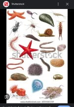 1000008222.webp