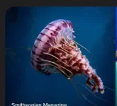 1734191376509.webp