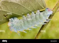 Untitled.webp