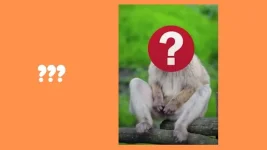 Guess-the-hybrid-animal-part-2-pptx-14-638.webp