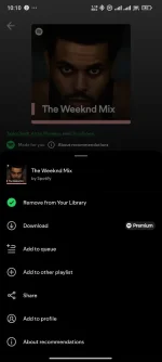Screenshot_2024-12-14-22-10-34-200_com.spotify.music.webp
