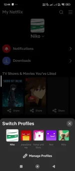 Screenshot_2024-12-15-12-44-52-524_com.netflix.mediaclient.webp