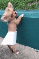 200.gif 200.gif