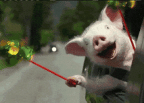 200.gif 200.gif