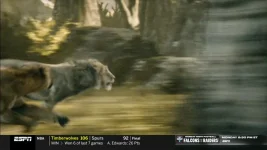 Screenshot (22).webp