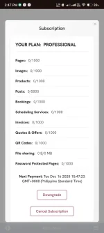 Screenshot_2024-12-16-15-47-44-428_com.android.chrome.webp