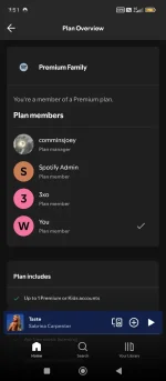 Screenshot_2024-12-17-19-51-19-570_com.spotify.music.webp