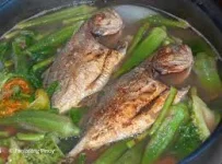 Untitled.webp