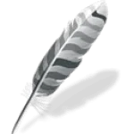zlmc.webp zlmc.webp