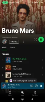 Screenshot_2024-12-20-12-45-08-154_com.spotify.music.webp