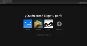 Screenshot 2024-12-20 193518.webp