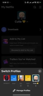 Screenshot_2024-12-21-22-58-03-039_com.netflix.mediaclient.webp