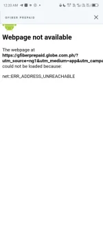 1000081493.webp 1000081493.webp