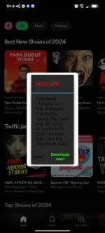 Screenshot_20241222_164048_com_spotify_music_SpotifyMainActivity.webp