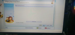5.webp 5.webp