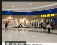 1734863425445.webp