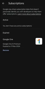 Screenshot_20241222_223730_Google Play Store.webp