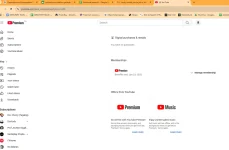1734925510690.webp