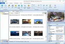 Ssjc.webp