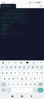 Screenshot_2024-12-24-01-26-05-116_com.server.auditor.ssh.client.webp