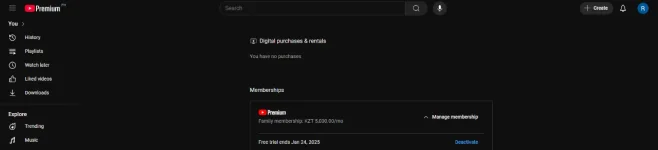 yt ss.webp