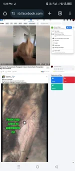Screenshot_20241224-172324.webp