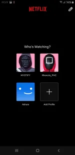 Screenshot_20241225-111156_Netflix.webp