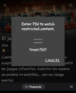 Screenshot_20241227_173221_Netflix.webp