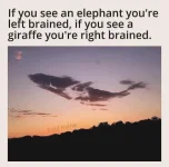 FB_IMG_1735386501752.webp