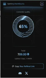Screenshot 2024-12-28 233011.webp