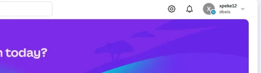 1735511850562.webp