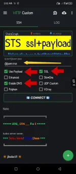 STS SSL-PAYLOAD.webp STS SSL-PAYLOAD.webp