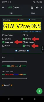GTM V2rayDNS.webp GTM V2rayDNS.webp
