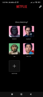 Screenshot_2024-12-31-13-02-50-539_com.netflix.mediaclient.webp