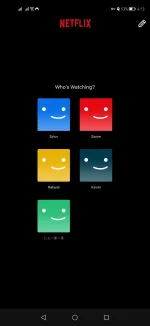 Screenshot_20241231_161346_com.netflix.mediaclient.webp