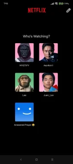 Screenshot_2024-12-31-19-45-08-721_com.netflix.mediaclient.webp