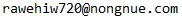 1735826460178.webp