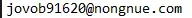 1735826808595.webp
