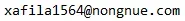 1735878503479.webp