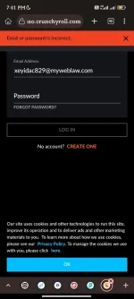 Screenshot_2025-01-03-19-41-11-026_com.kiwibrowser.browser.webp